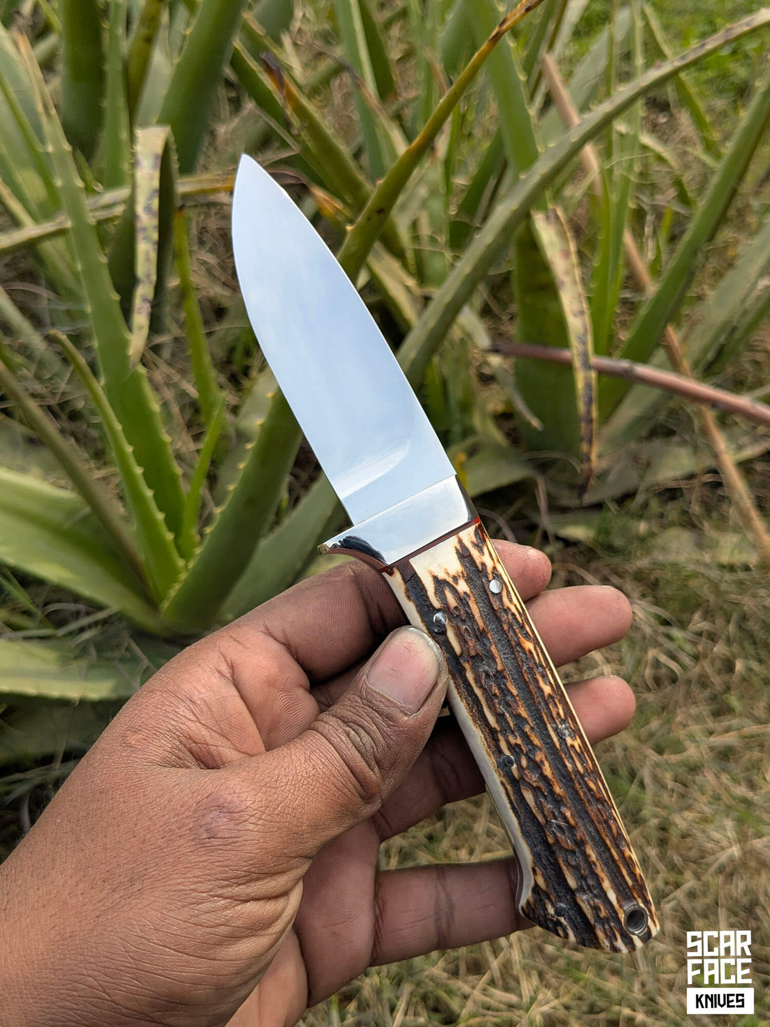 Stag Skinner