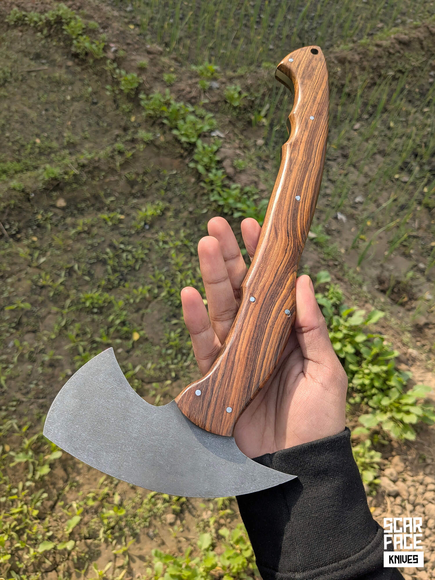 Field Hawk