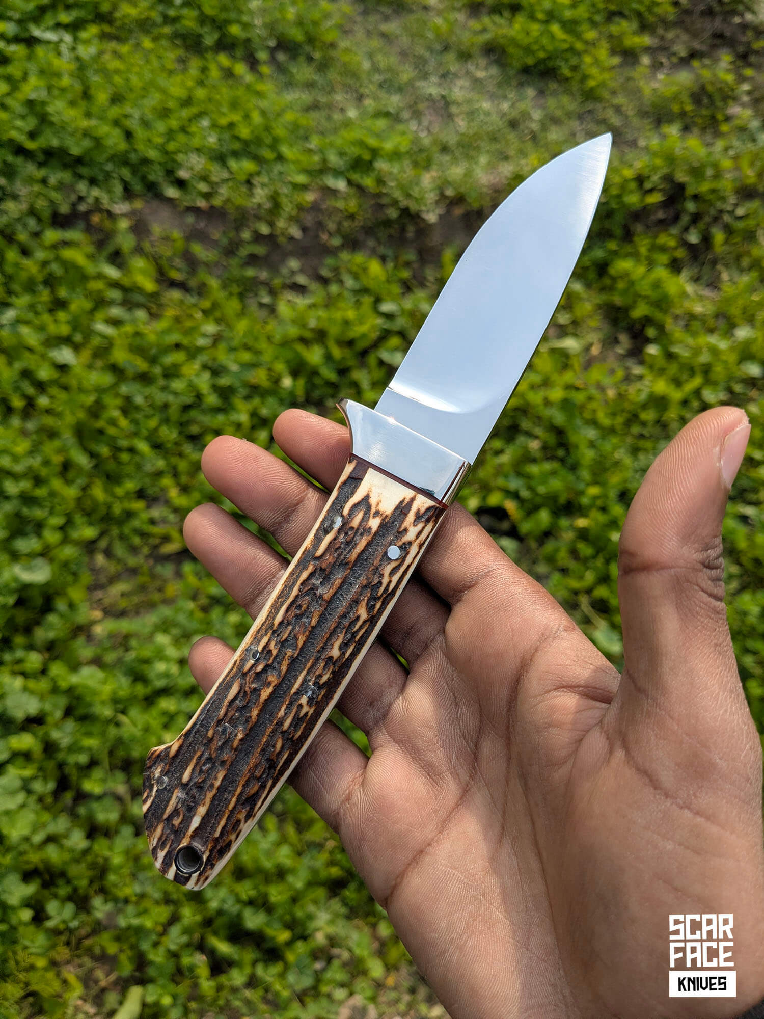 Stag Skinner