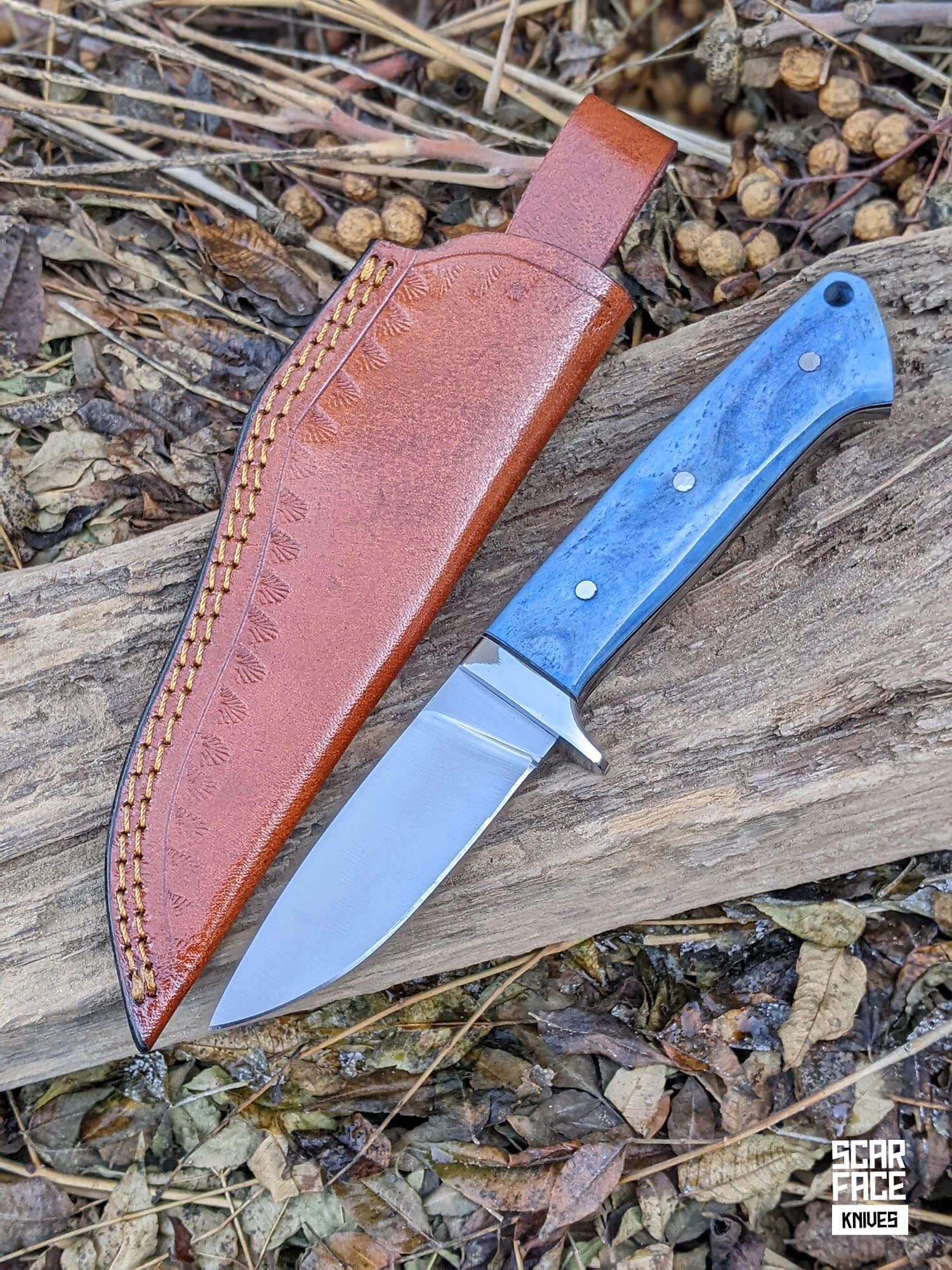 Trail Hunter