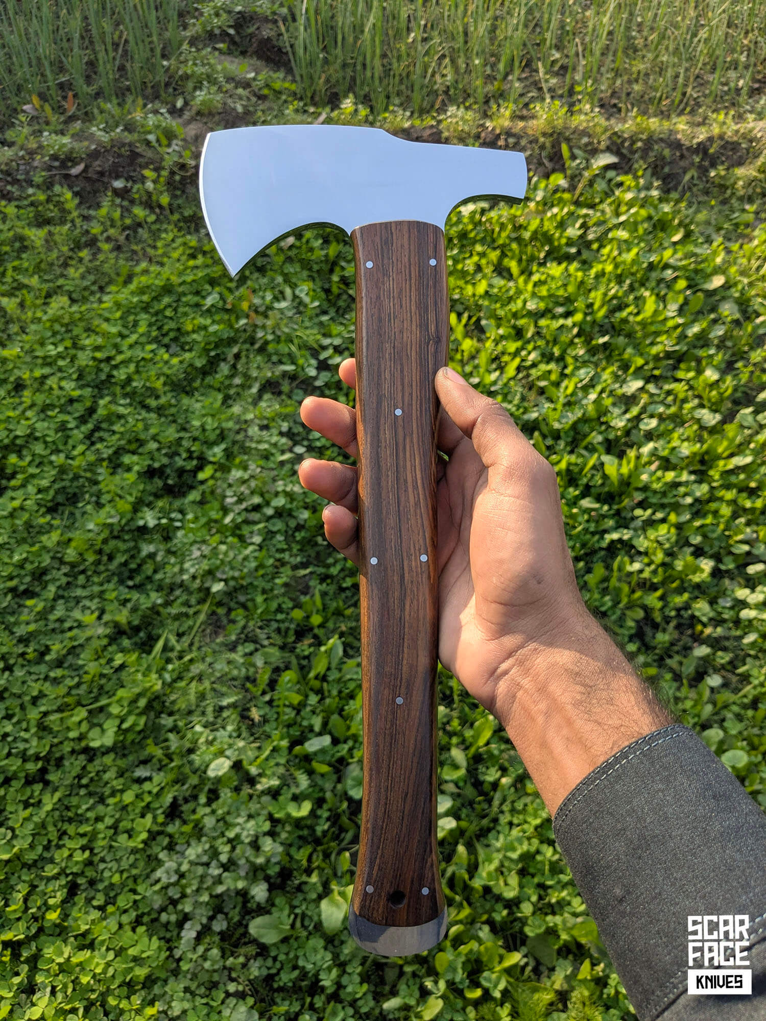 The Sentinel - V1