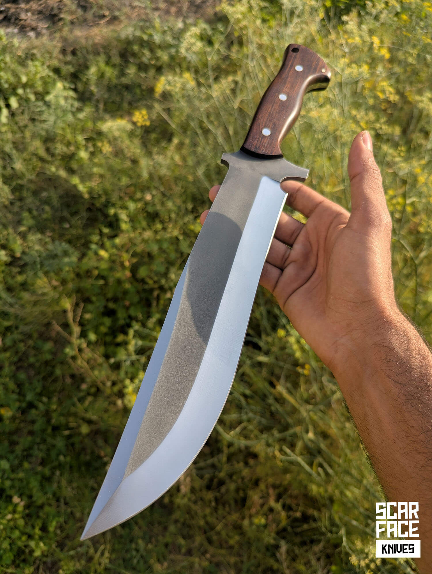 Wildland Bowie