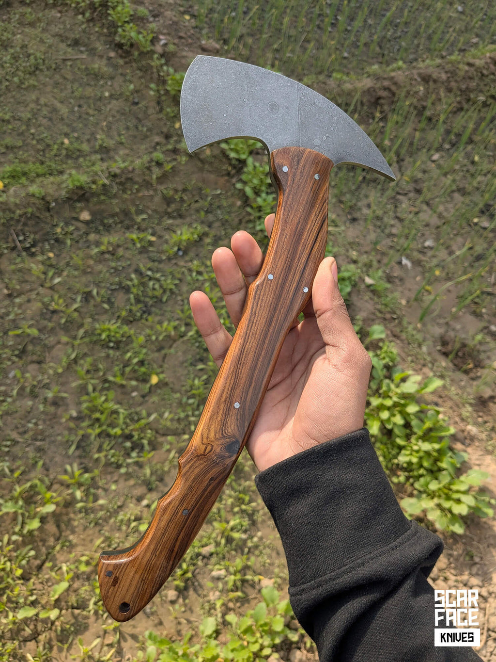 Field Hawk