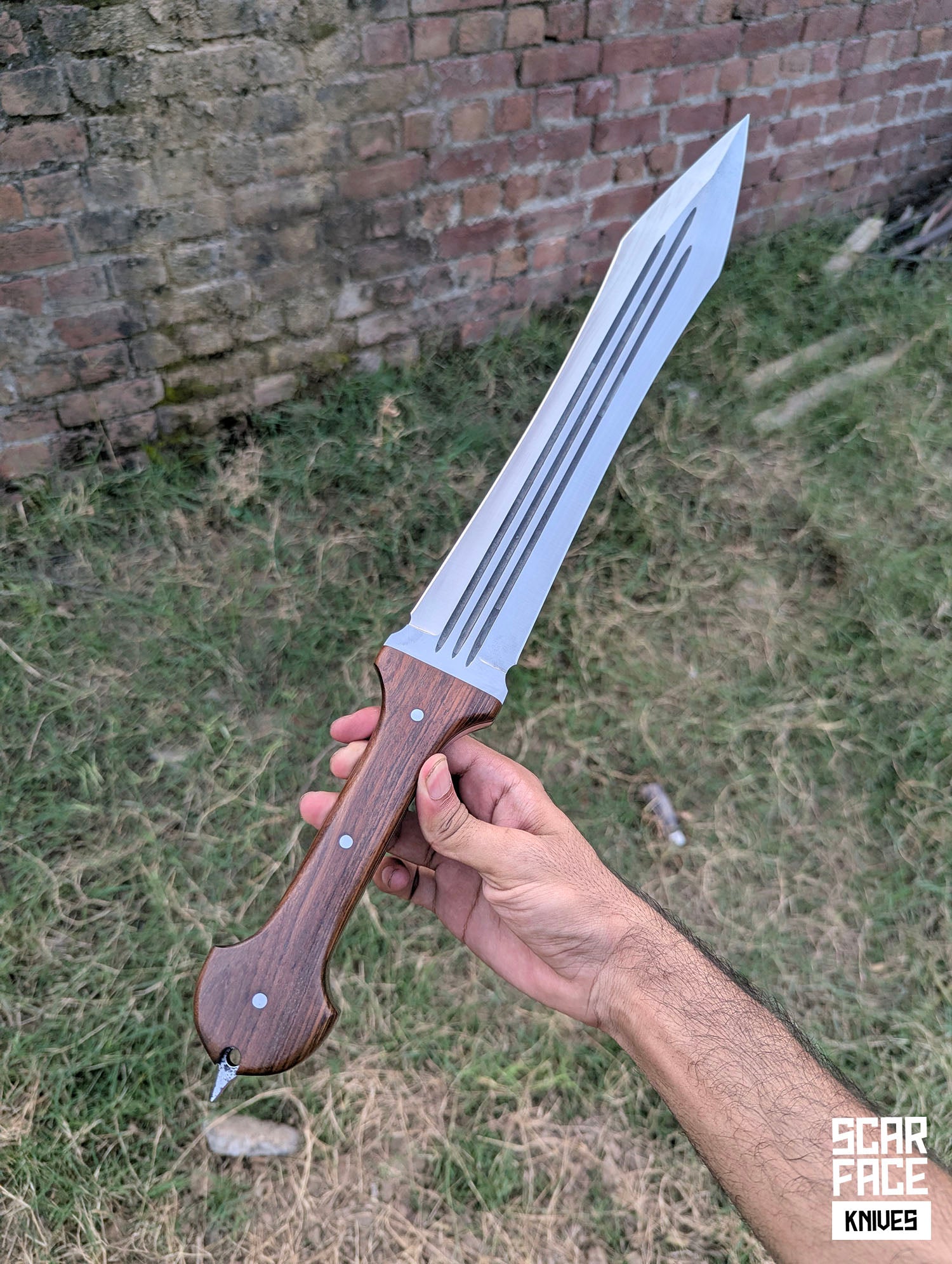 The Companion