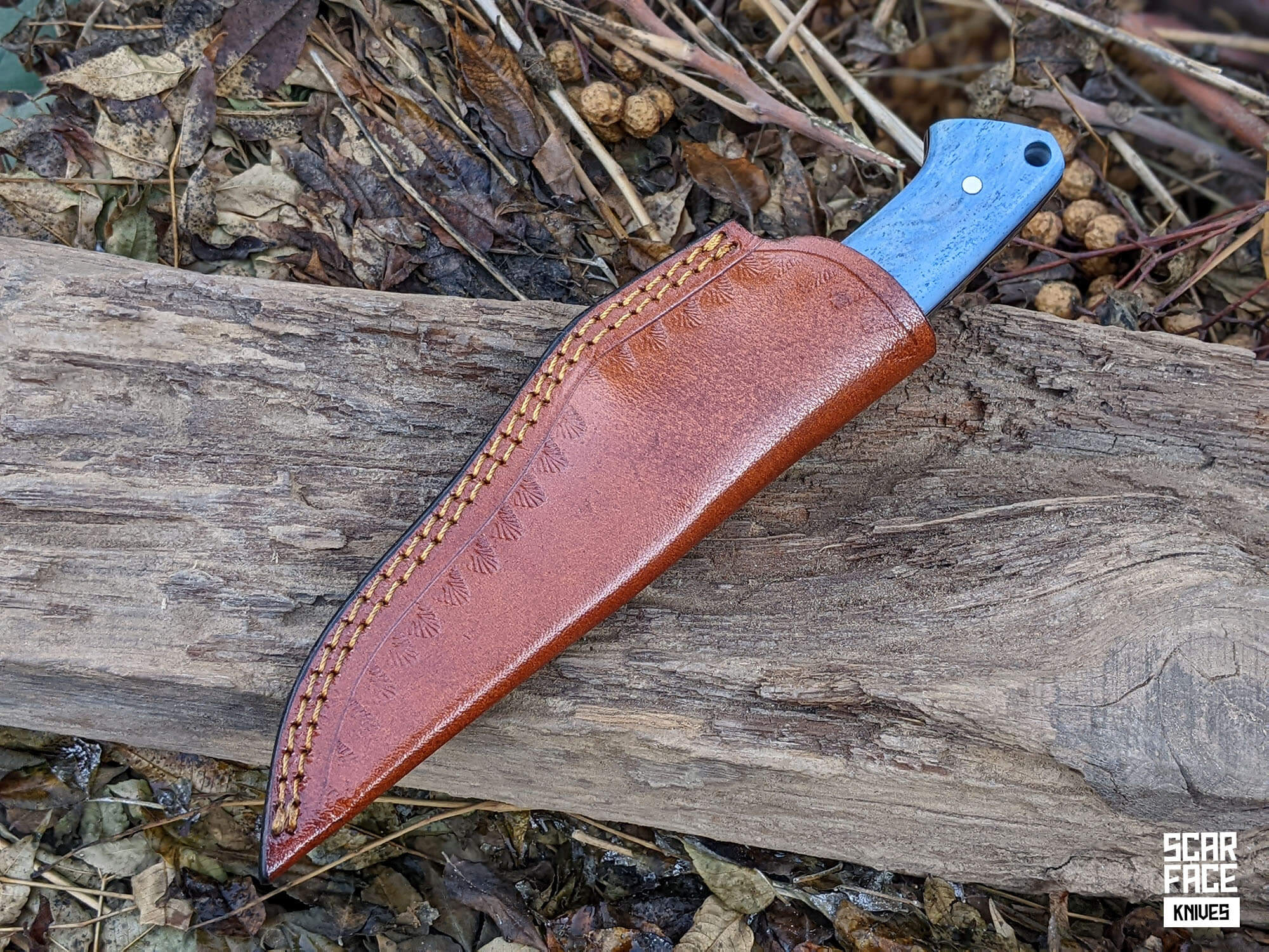 Trail Hunter