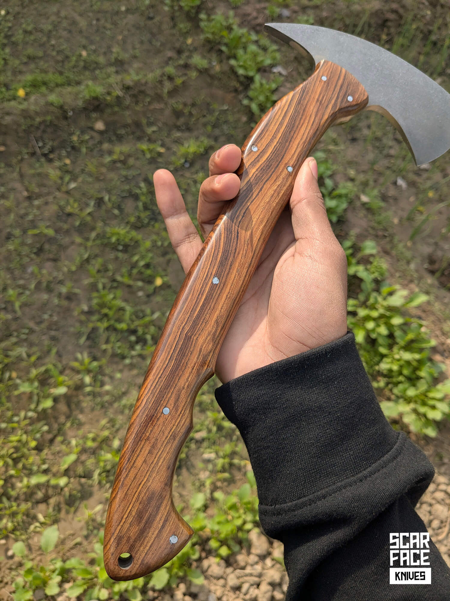 Field Hawk