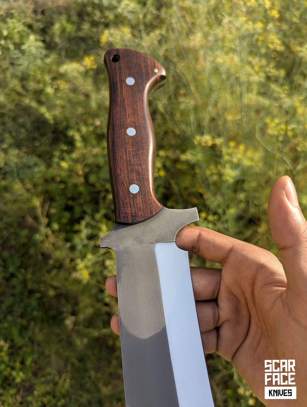 Wildland Bowie