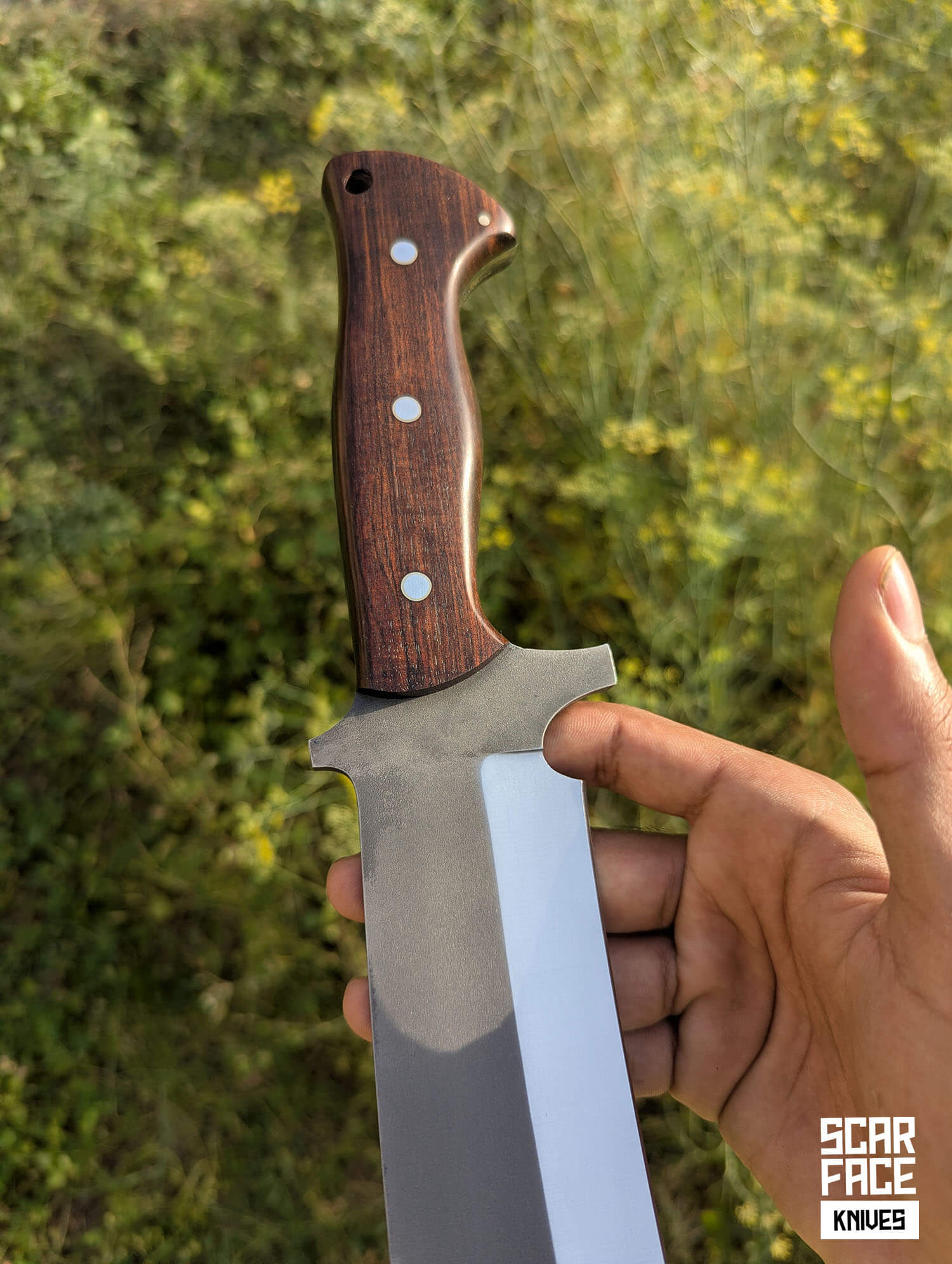 Wildland Bowie