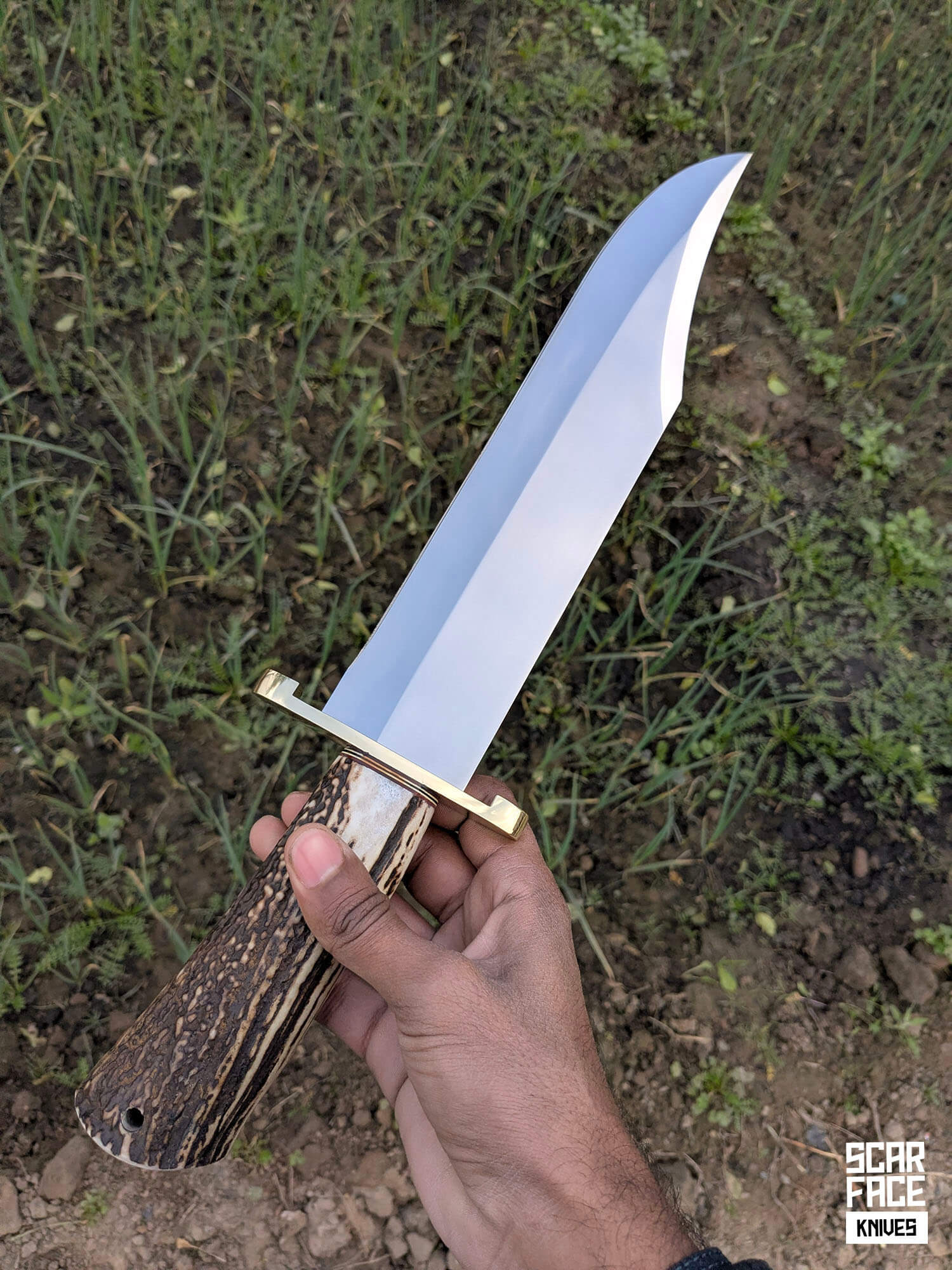 The Wedge - Bowie Knife