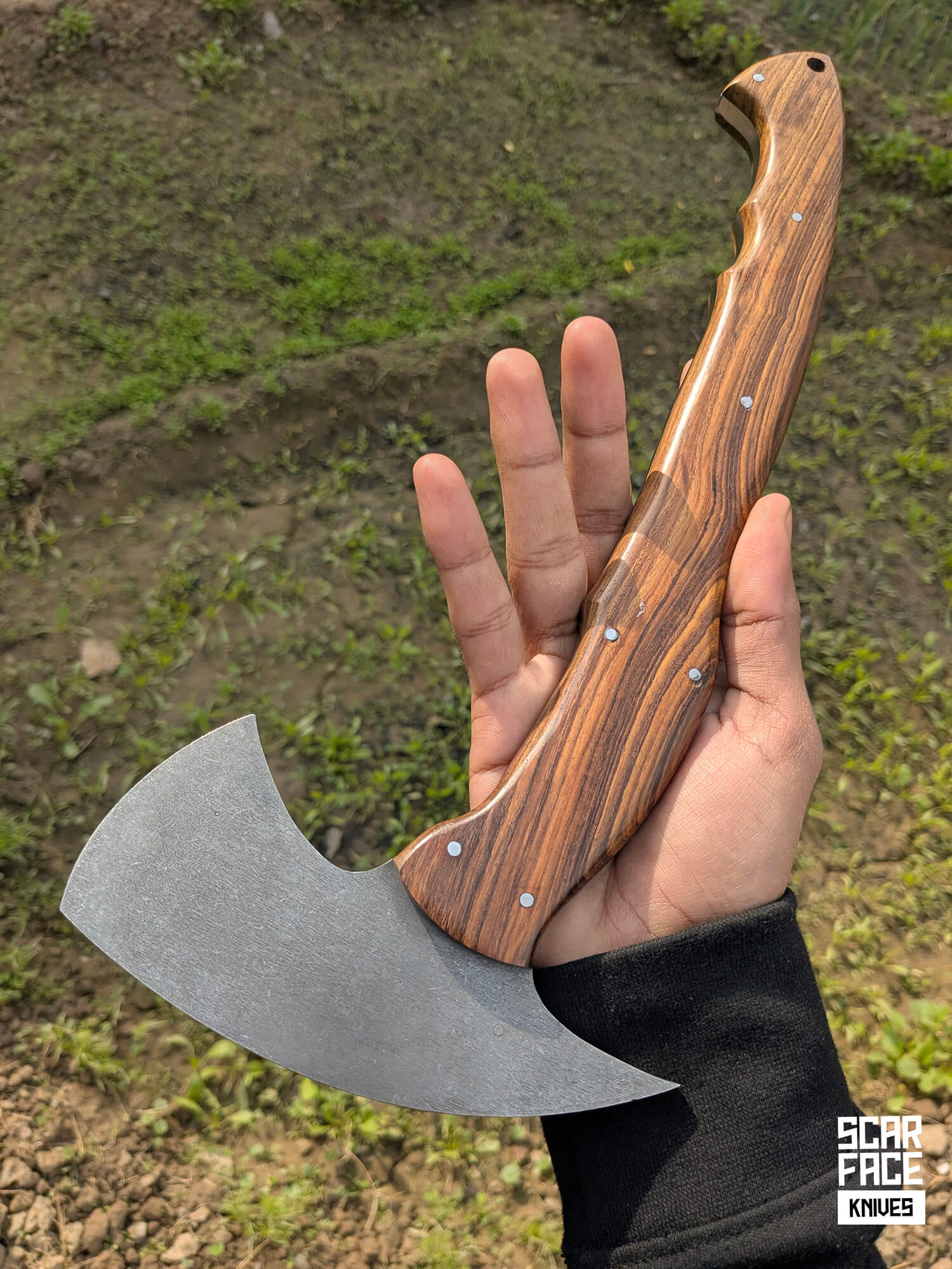 Field Hawk