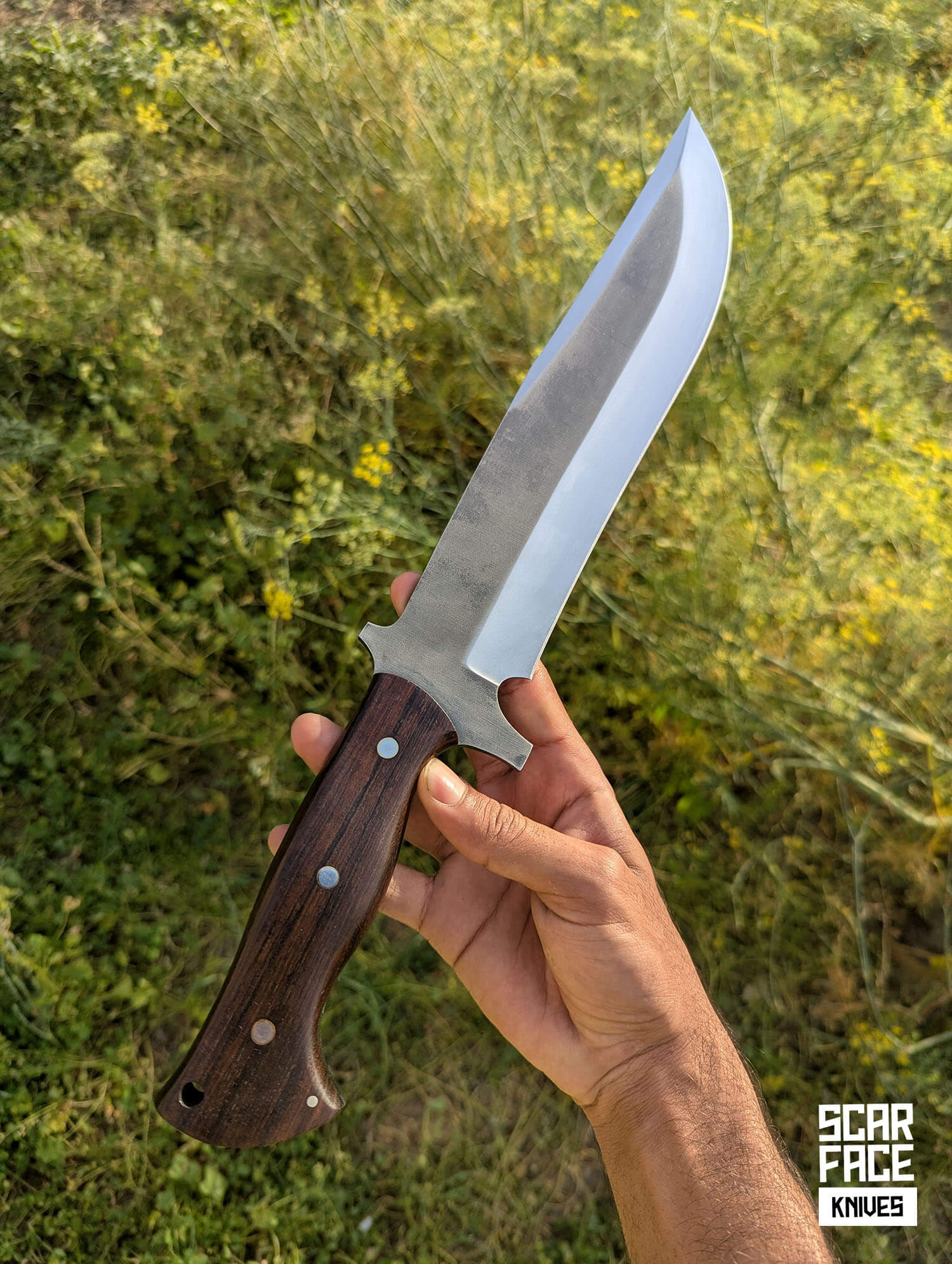 Wildland Bowie