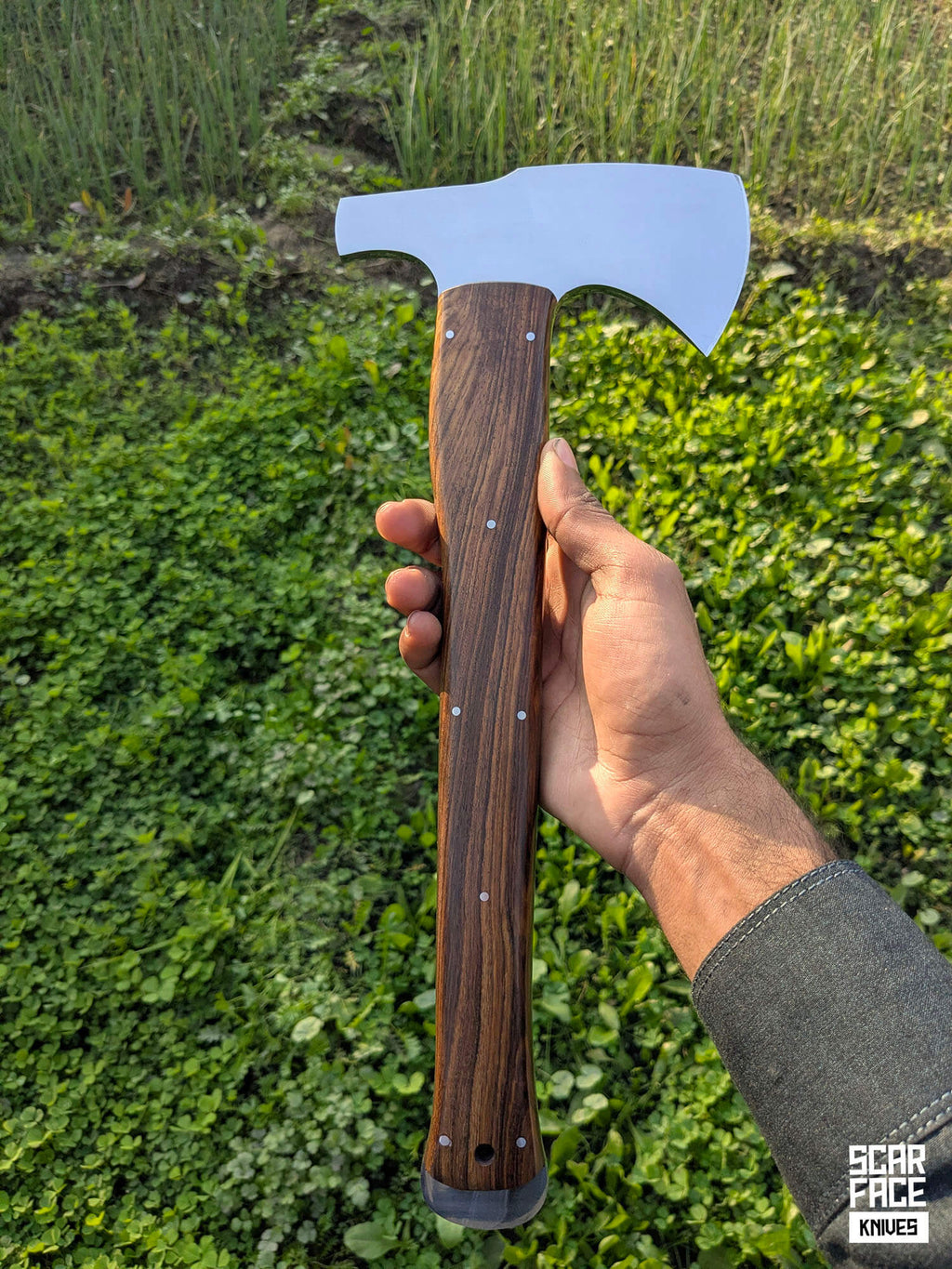 The Sentinel - V1