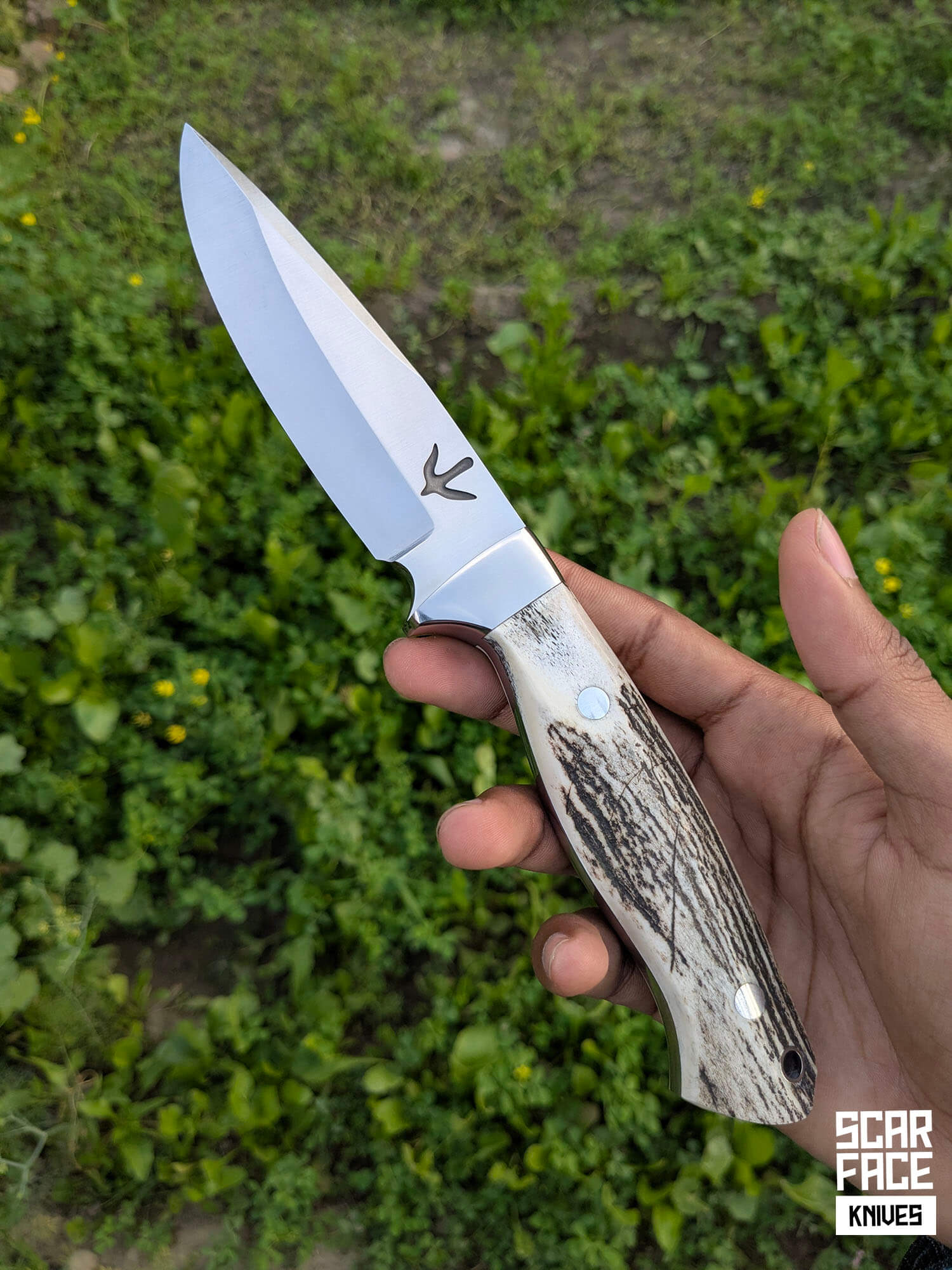 Deer Trail Skinner