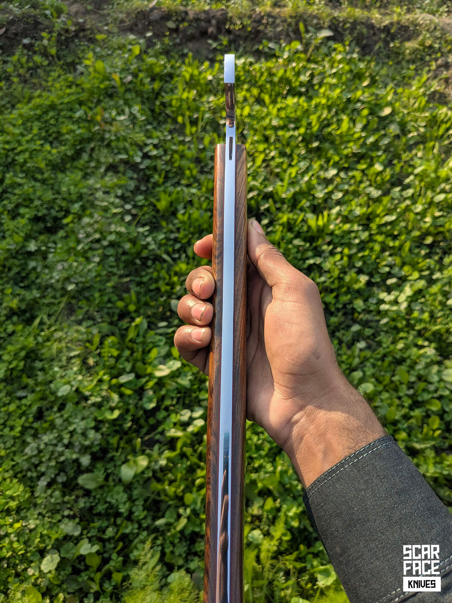 The Sentinel - V1