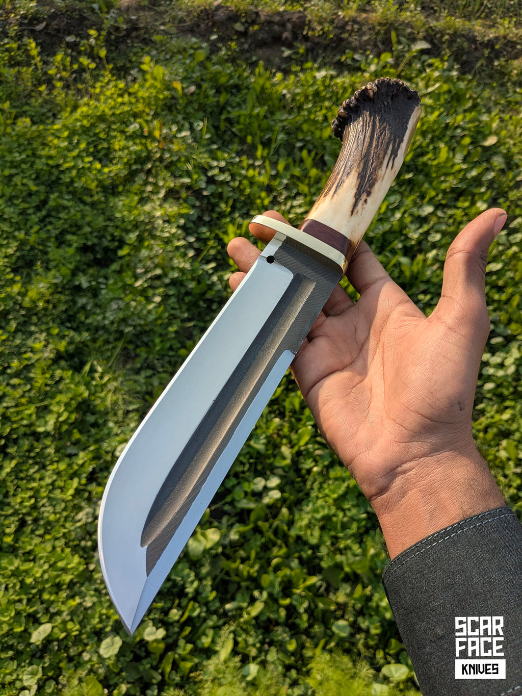 Wild Rack - Bowie