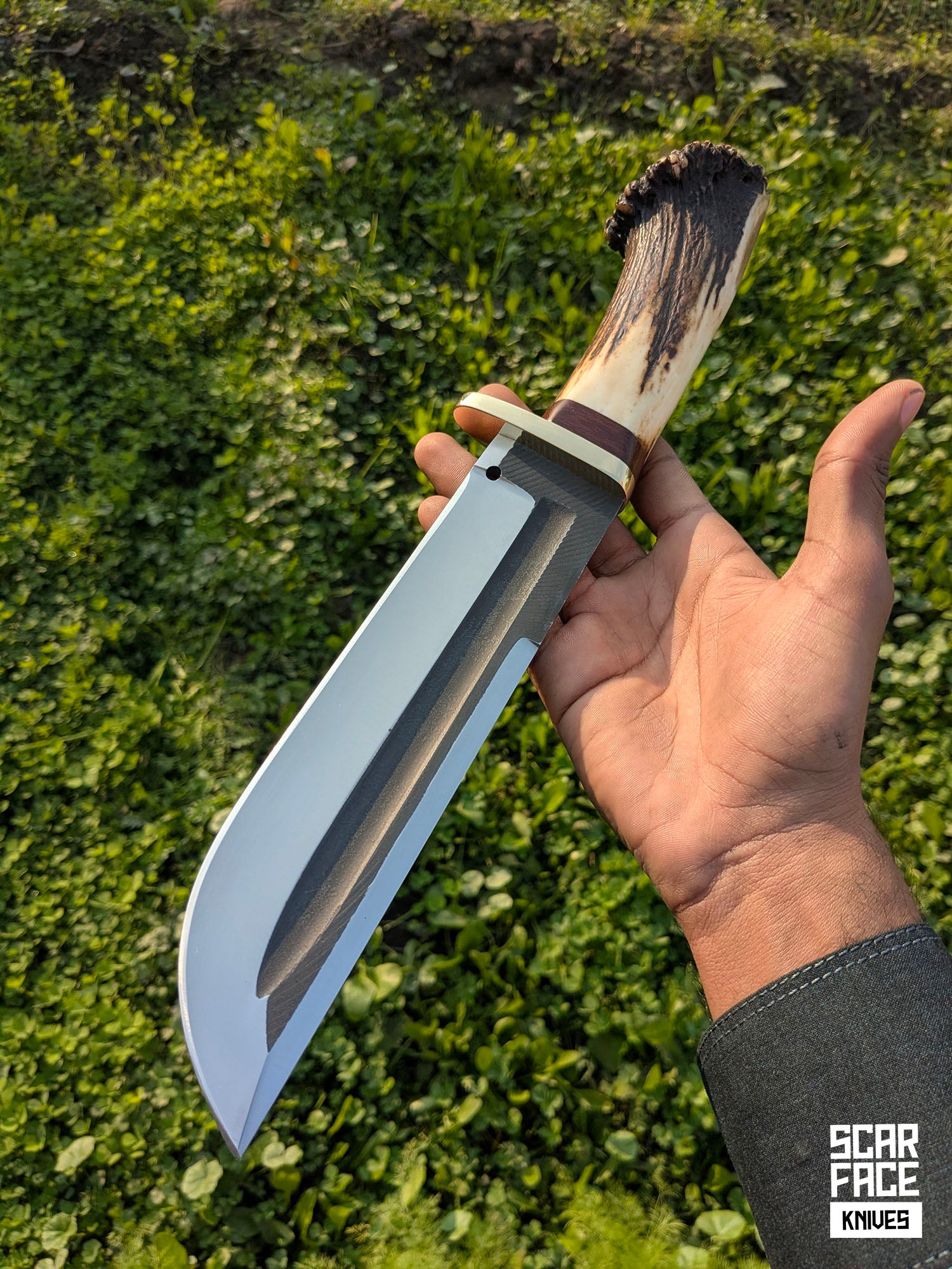 Wild Rack - Bowie
