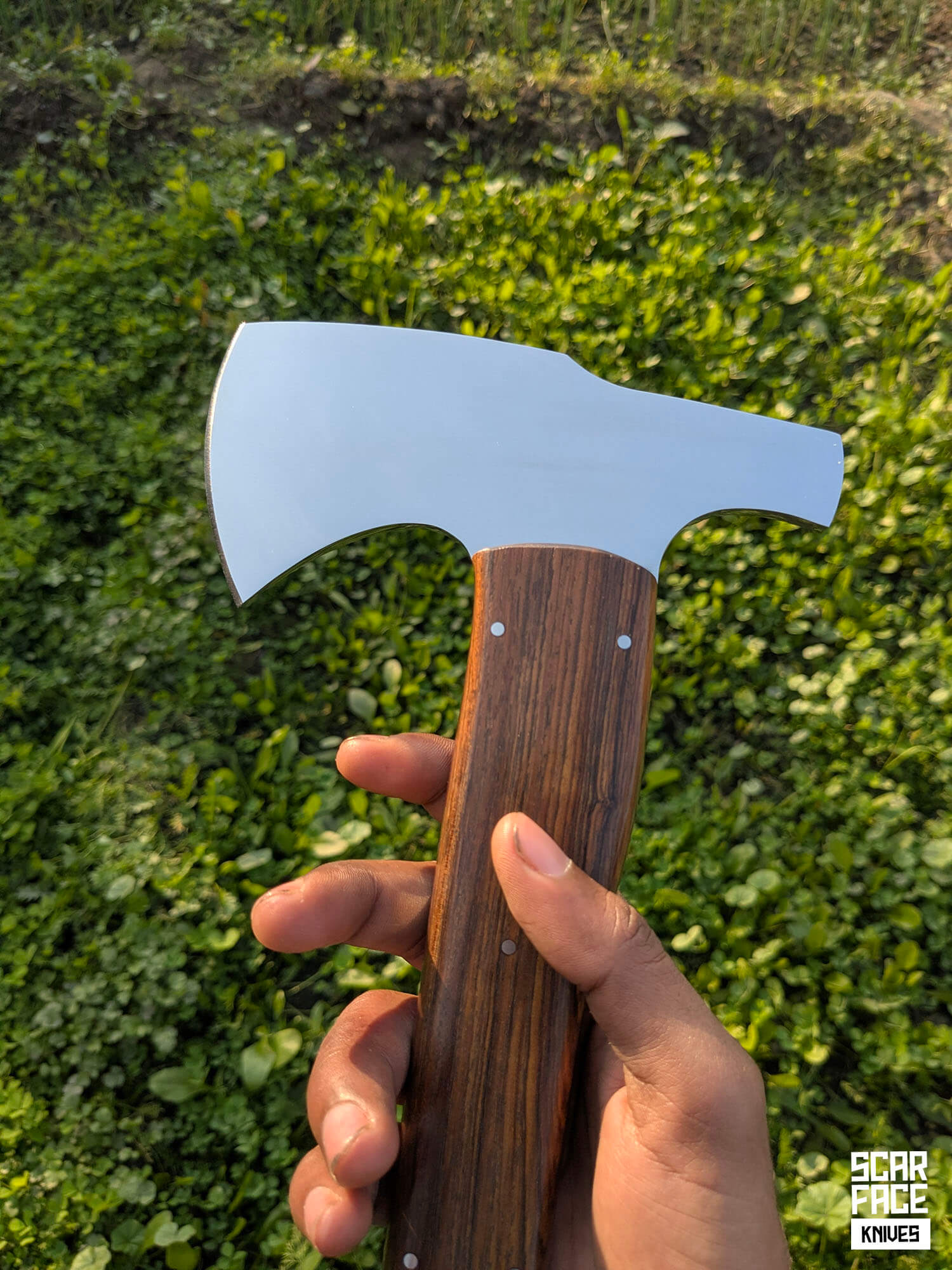 The Sentinel - V1