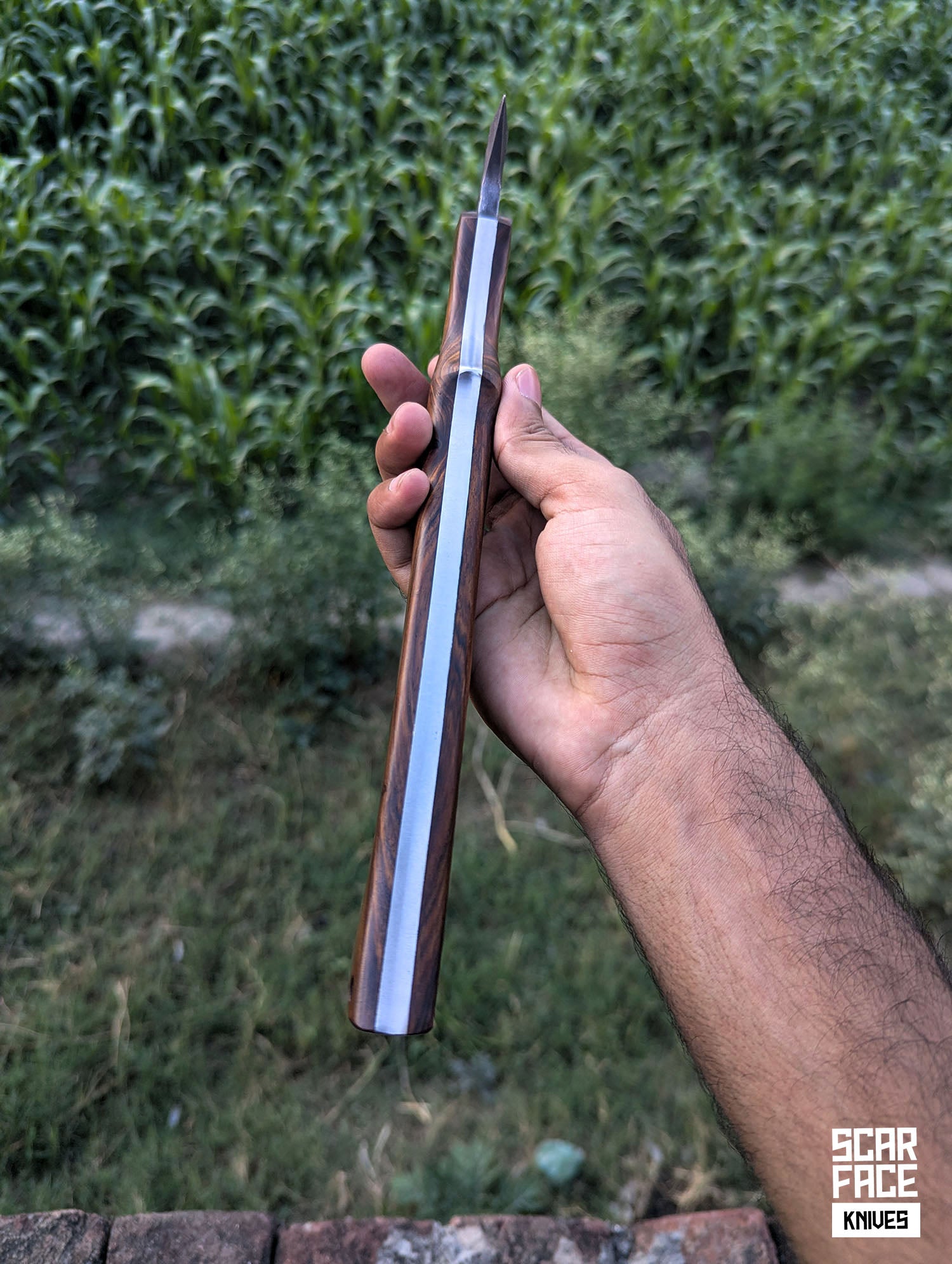 Frontier V1 Tomahawk