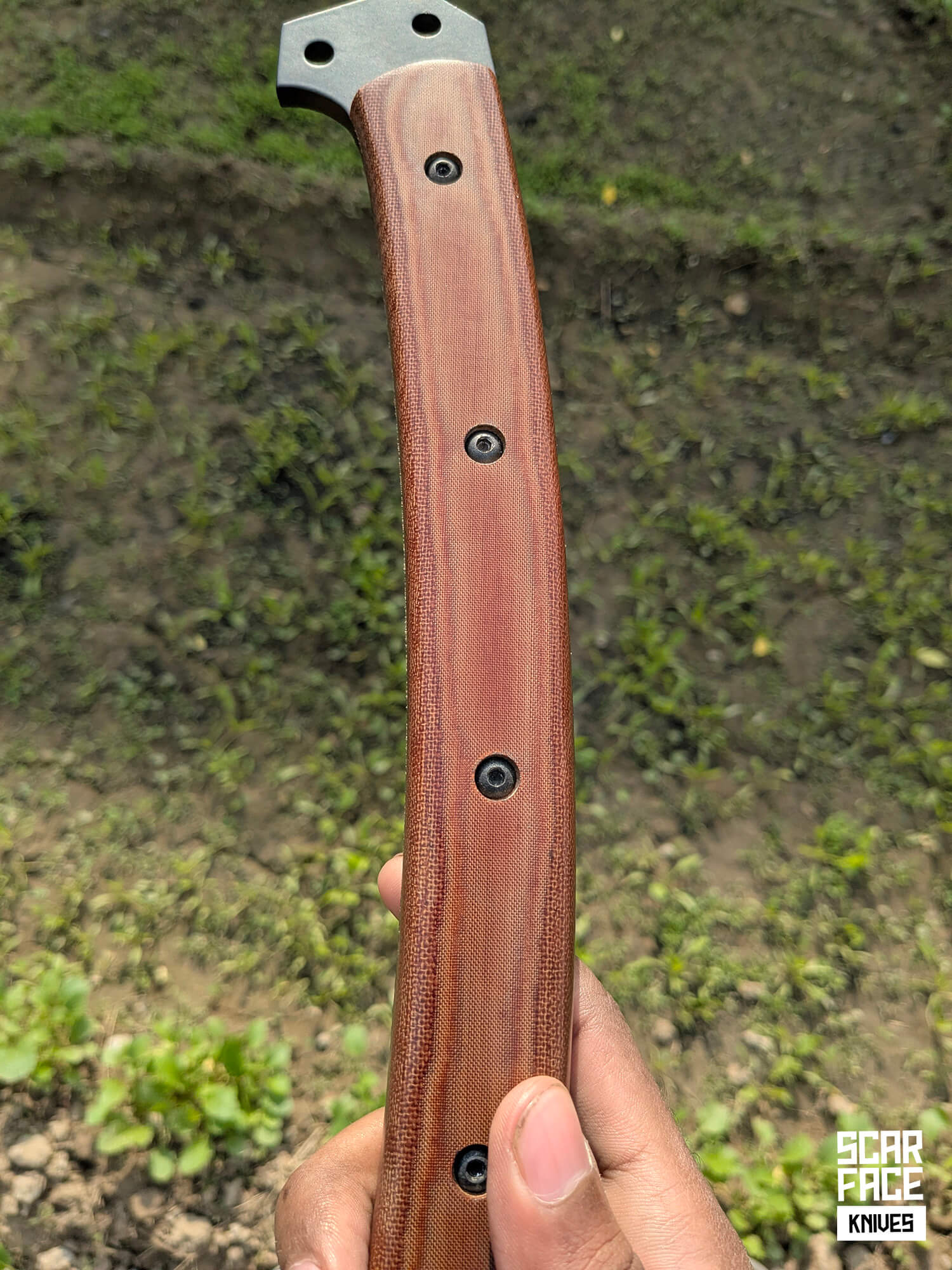 The Field Hawk