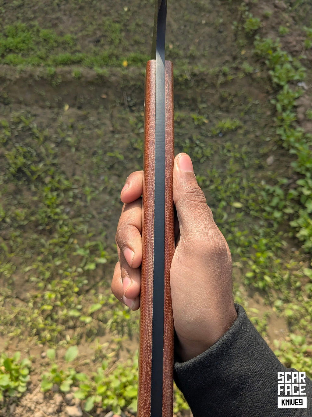The Field Hawk