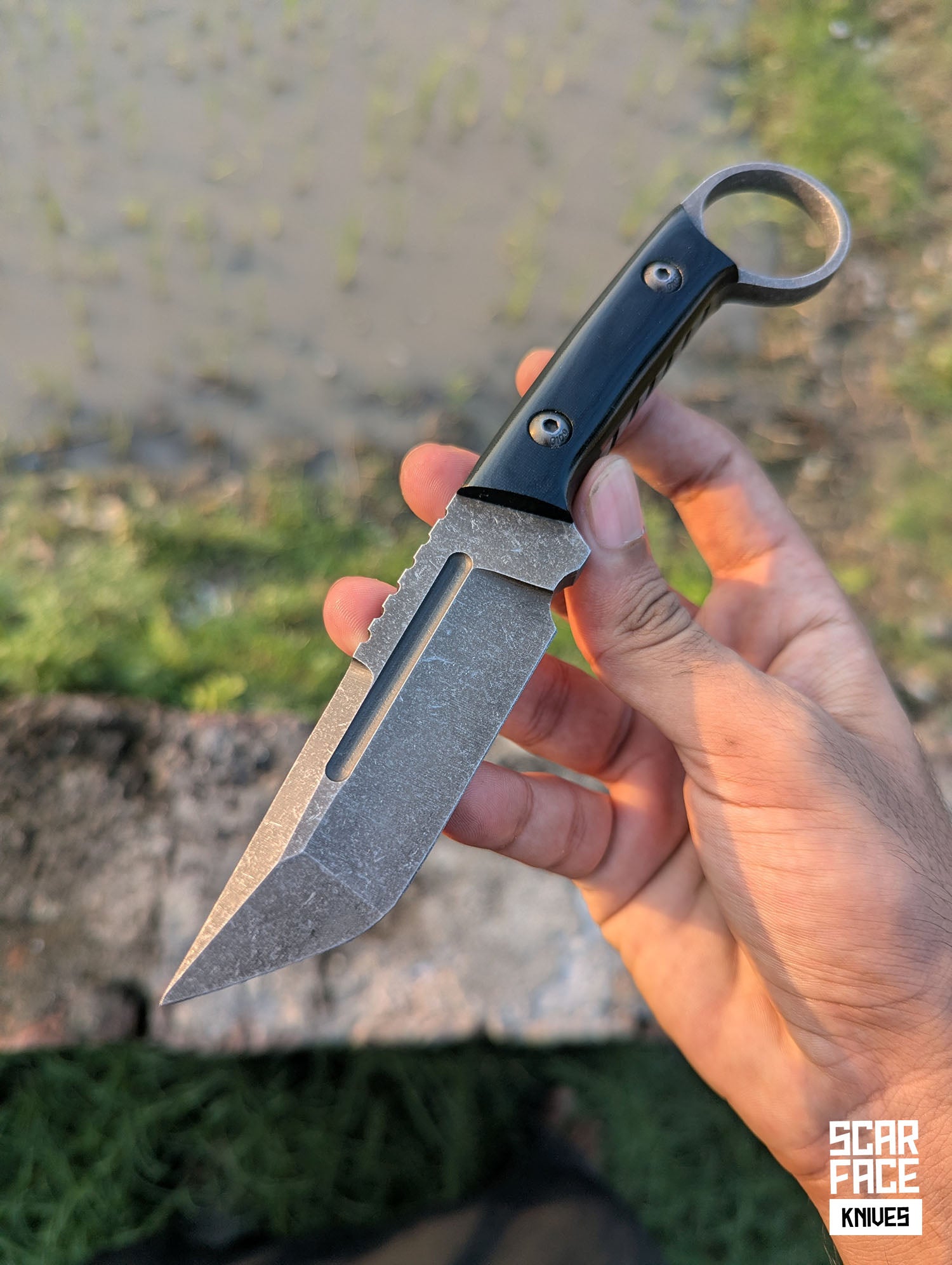 Ridge - V3