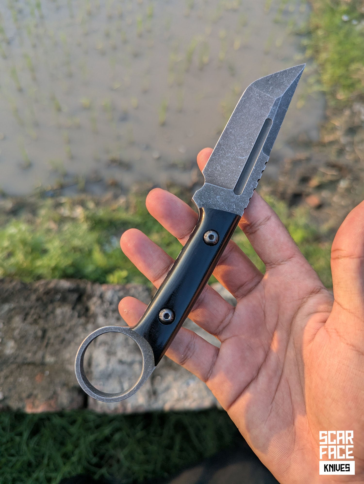 Ridge - V3