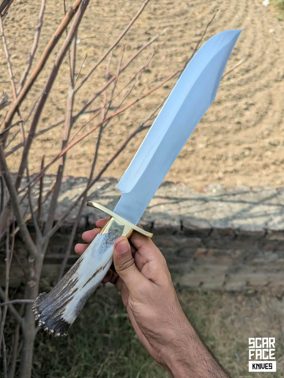 Besterd Bowie