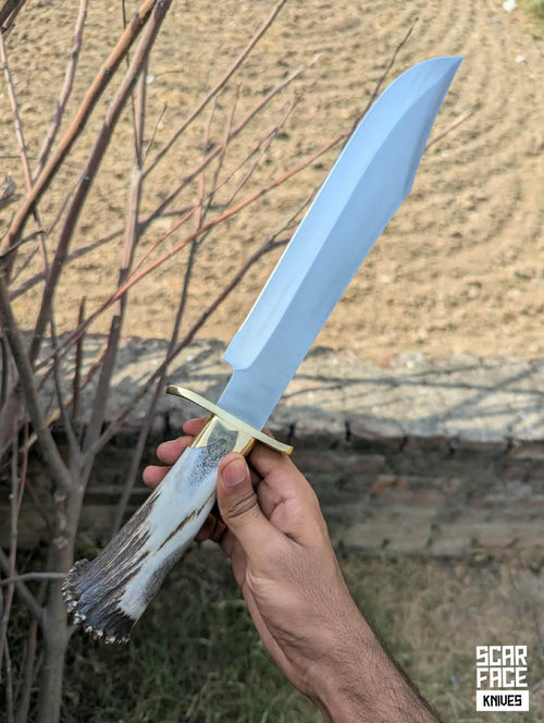 Besterd Bowie