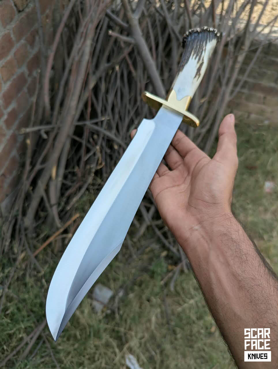Besterd Bowie